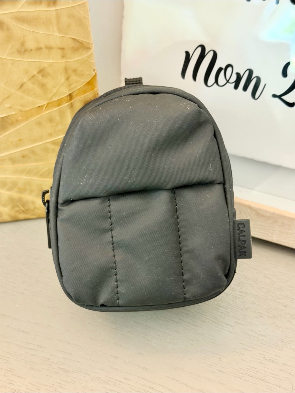 CALPAK Black Mini Travel Tech Organizer Pouch